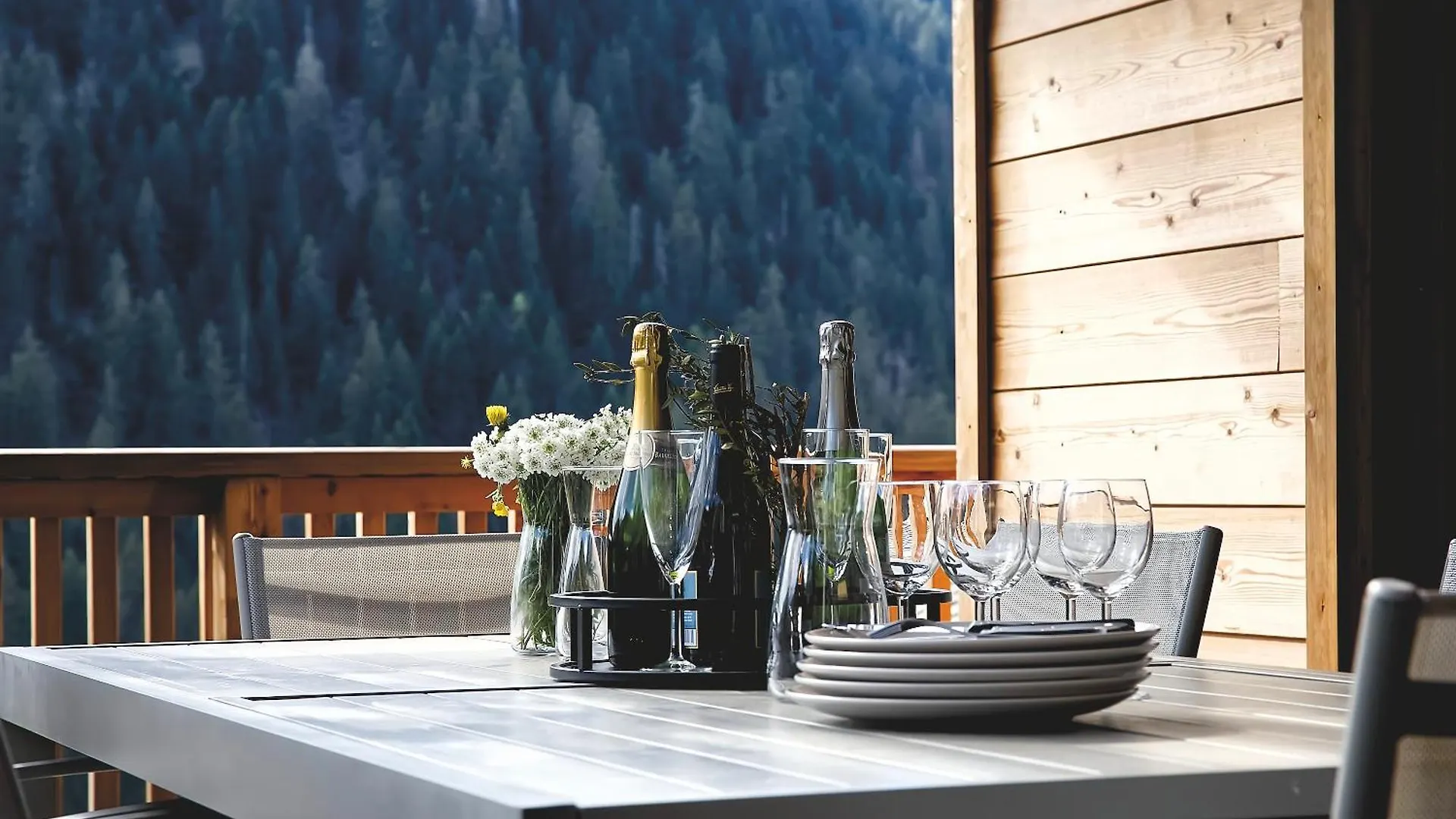 Chalet Des Freinets : Proche Centre De Chatel Et Au Calme צרפת